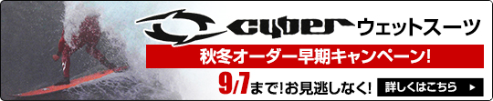bnr_cyber1