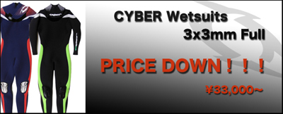 cybersale1
