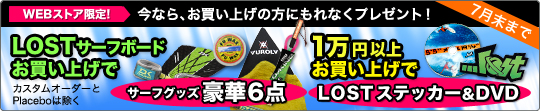 summersale2013_store