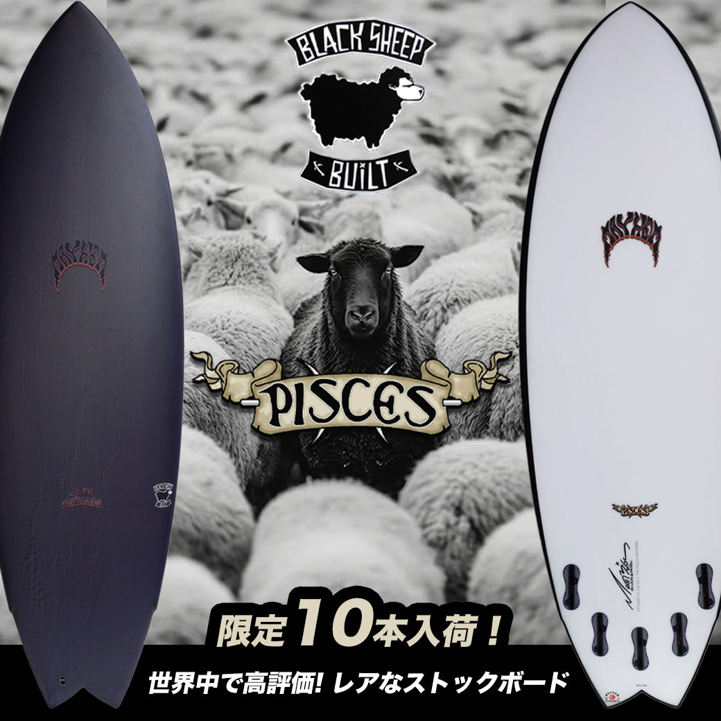 完売していた！『PISCES』Black Sheep Built の新しいストックボードが入荷しました！