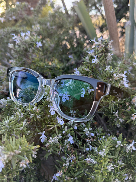 [LOW TIDE] 調光レンズ Black Clear / Emo Blue