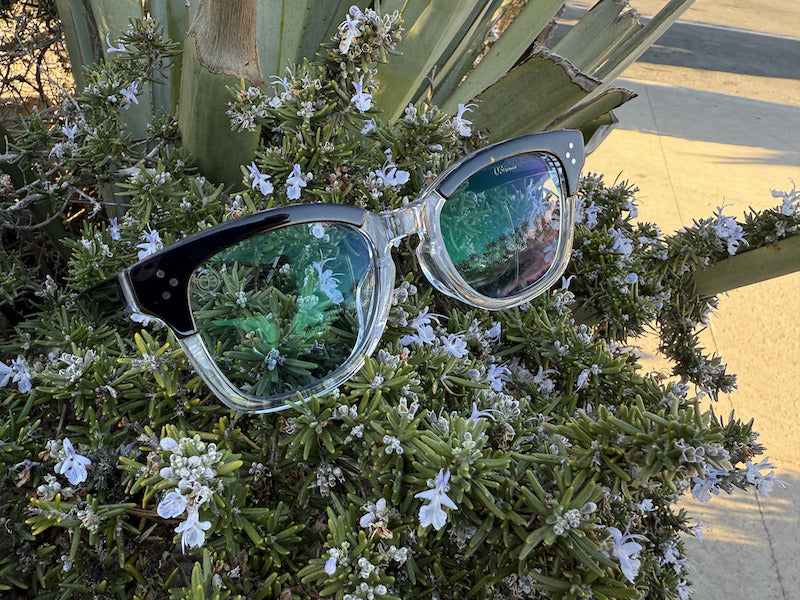 [LOW TIDE] 調光レンズ Black Clear / Emo Blue