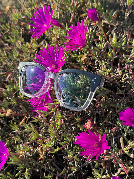 [LOW TIDE] 調光レンズ Black Clear / Emo Blue