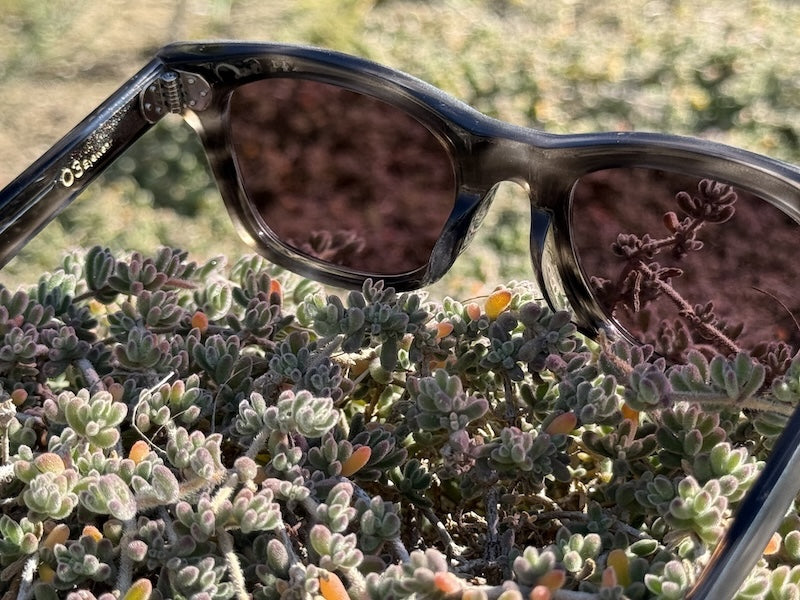 [HIGH TIDE] Matte Gray Havana / Brown Sugar