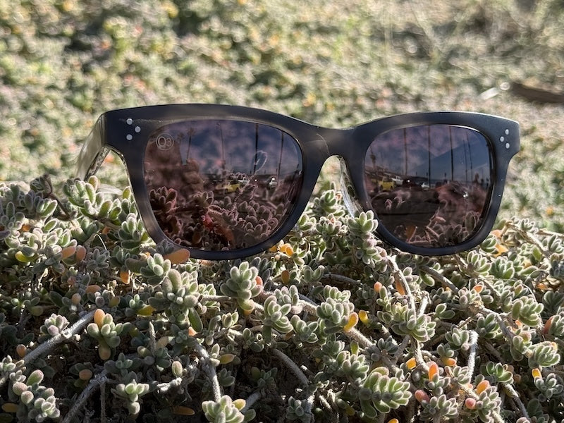 [HIGH TIDE] Matte Gray Havana / Brown Sugar