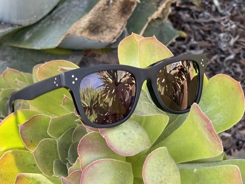[HIGH TIDE] Matte Black / Brown Sugar