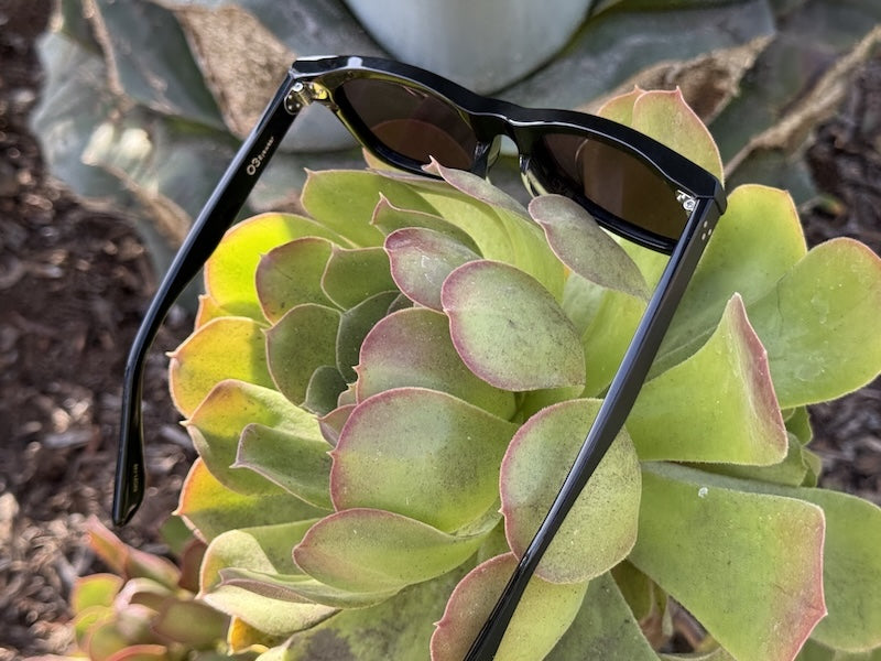 [HIGH TIDE] Matte Black / Brown Sugar