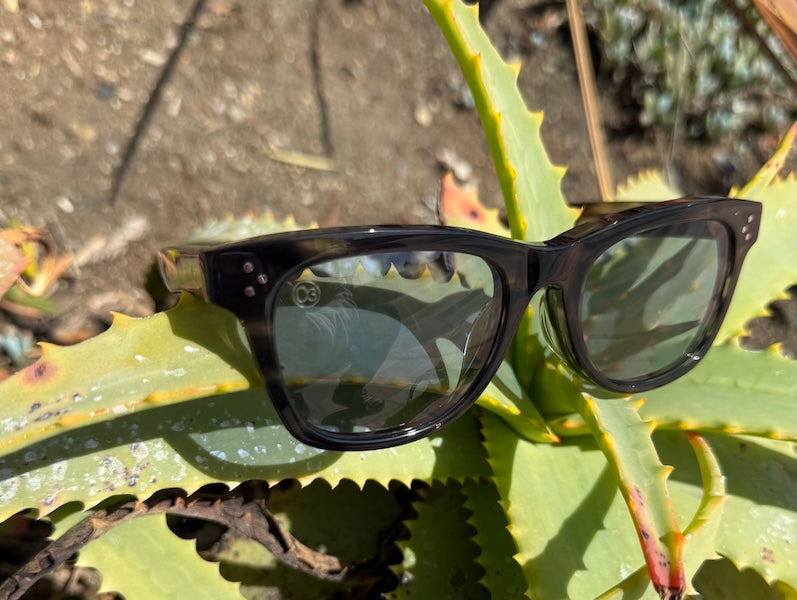 [HIGH TIDE] Gray Havana / Fortune Blue