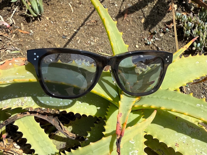 [HIGH TIDE] Gray Havana / Fortune Blue
