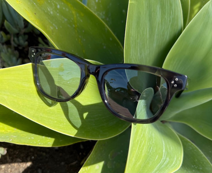 [HIGH TIDE] Gray Havana / Fortune Blue