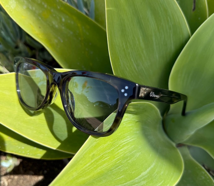 [HIGH TIDE] Gray Havana / Fortune Blue