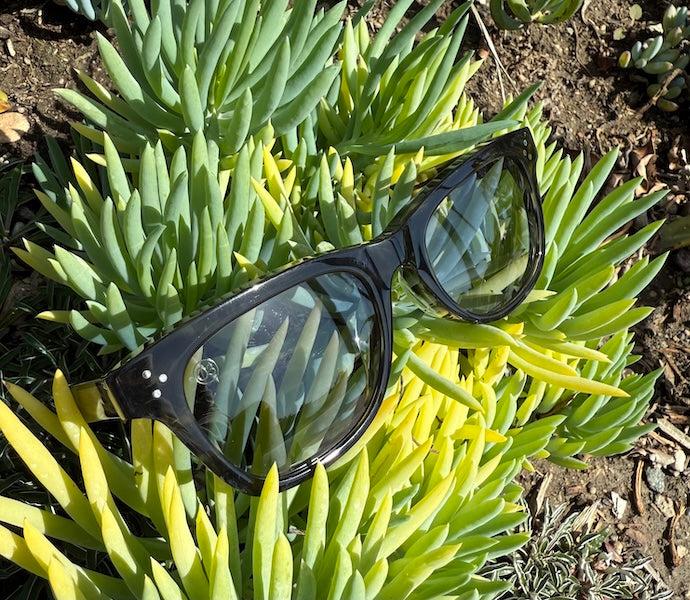 [HIGH TIDE] Gray Havana / Fortune Blue