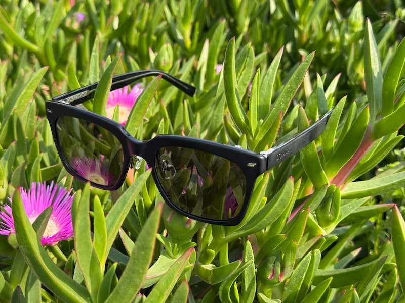 [C'mon C'mon] Matte Black / Deep Green