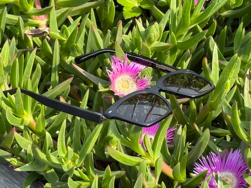 [C'mon C'mon] Matte Black / Deep Green