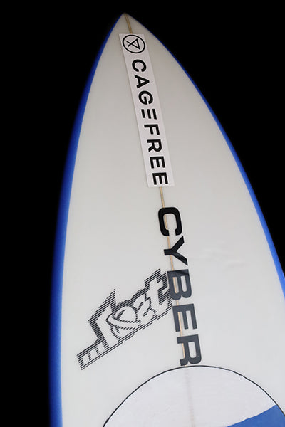 厳選中古  5’3″ 20.30cl 『DRIVER 3.0』