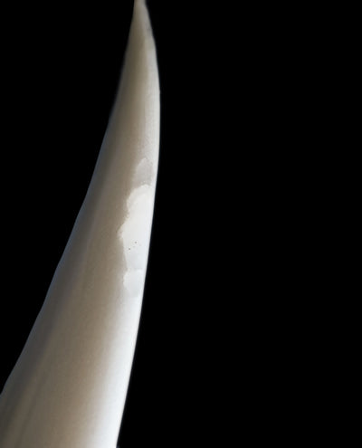 厳選中古  4'10" 18.00cl 『SUB DRIVER 2.0』THUMB