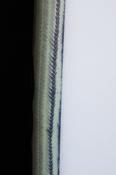 『BIG RIG DRIVER』 "BLACK SHEEP BUILT"：TOXIC TINT