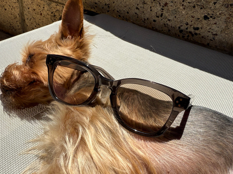 [LOW TIDE] Photochromic Lenses Clear Black / Chamois Brown