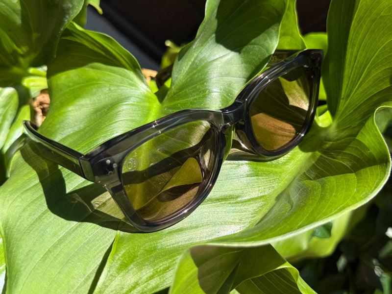 [LOW TIDE] Photochromic Lenses Clear Black / Chamois Brown