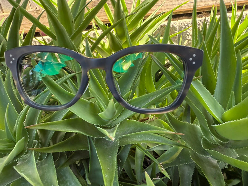 [LOW TIDE] Photochromic Lenses Matte Gray Havana / Emo Blue