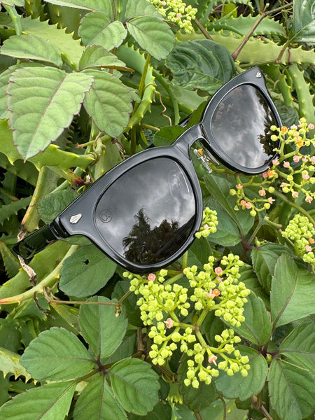 [OTON WAVES] / Gloss Black-Ocean Blue