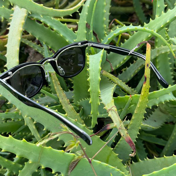 OTON WAVES] / Gloss Black-Ocean Blue – Luvsurf