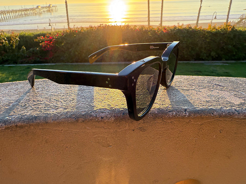 [LOW TIDE] 偏光レンズ Gloss Black / 偏光Green