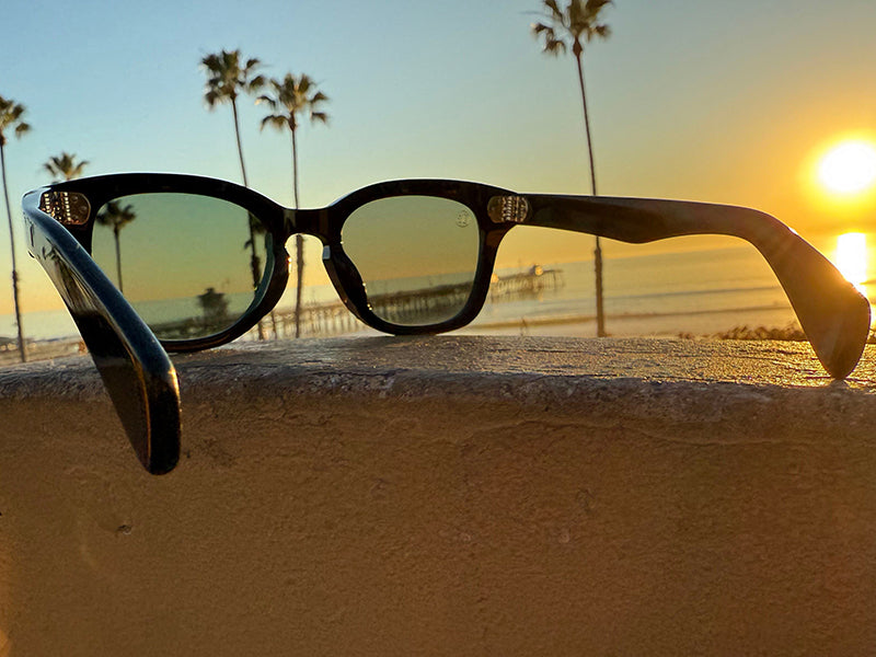 [LOW TIDE] 偏光レンズ Gloss Black / 偏光Green