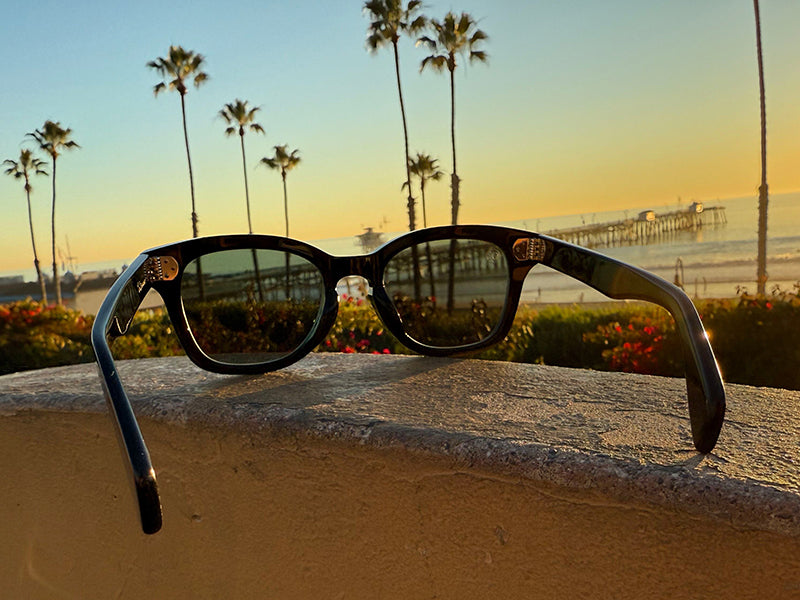 [LOW TIDE] 偏光レンズ Gloss Black / 偏光Green