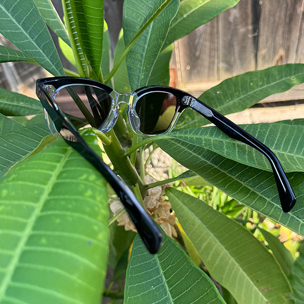 [LOW TIDE] / Black Clear-Dusky Gray