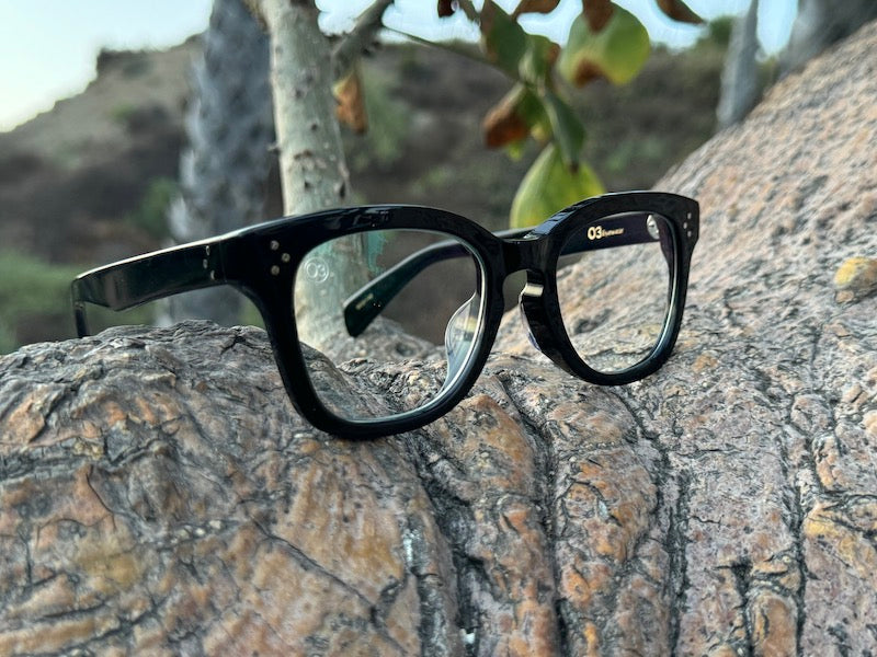 [LOW TIDE] Photochromic Lenses Gloss Black / Emo Blue
