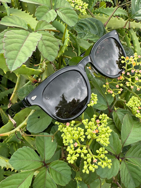 OTON WAVES] / Gloss Black-Ocean Blue | Luvsurf | プロ