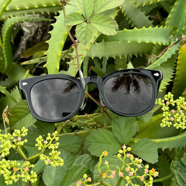 Yahoo!オークション -「yves saint laurent サングラス」(その他