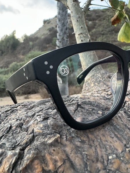 LOW TIDE] 調光レンズ Matte Black / Bounce Gray | Luvsurf